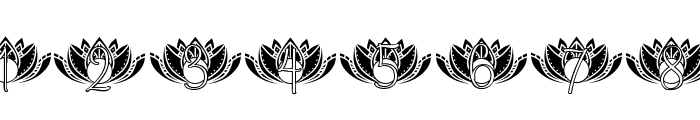 Harmony Lotus Mandala Monogram Font OTHER CHARS