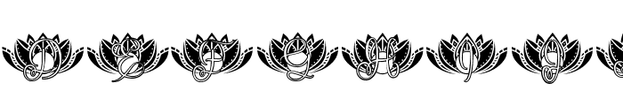 Harmony Lotus Mandala Monogram Font LOWERCASE