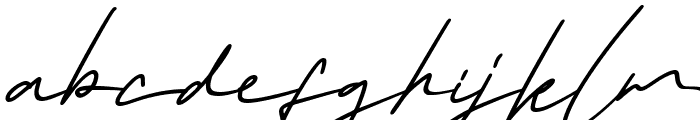 Hastan Signature Italic Font LOWERCASE