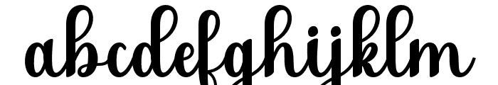 HaydaScript Font LOWERCASE