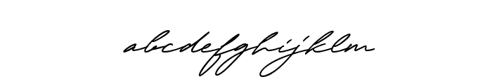 Henriette Signature Font LOWERCASE
