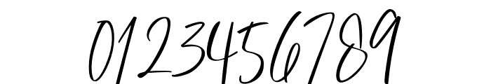 HevojniwalSignature Font OTHER CHARS