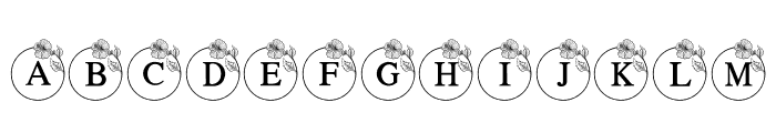 Hibiscus Monogram Font UPPERCASE
