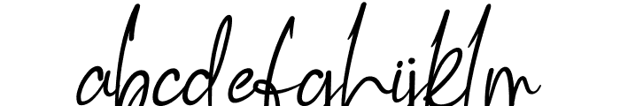 Hibiscus Signature Font LOWERCASE