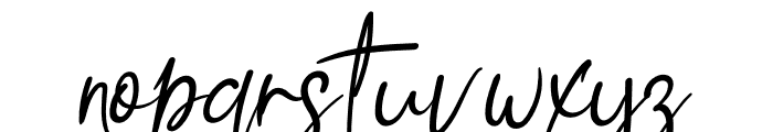 Hibiscus Signature Font LOWERCASE