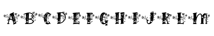 Hilens Flower Monogram Regular Font LOWERCASE