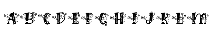 HilensFlowerMonogram-Regular Font LOWERCASE