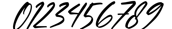 Hinora Signature Italic Font OTHER CHARS