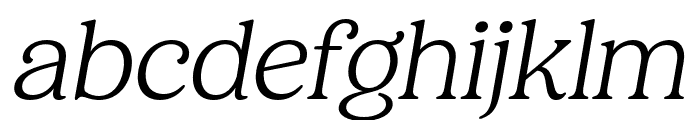 Holimole Light Italic Font LOWERCASE