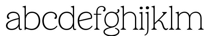 Holimole Thin Font LOWERCASE