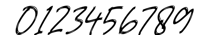 Holiwing Italic Font OTHER CHARS