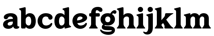 HollaMugint-Regular Font LOWERCASE