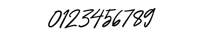Holland_Signature Font OTHER CHARS