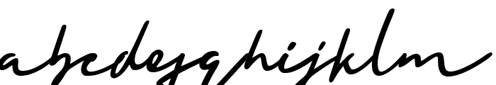 Holligate Signature Font LOWERCASE