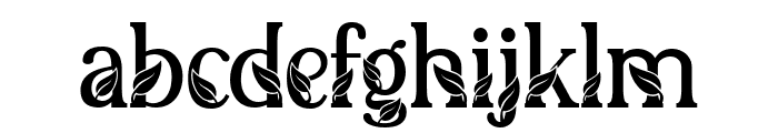 House Leaves Font LOWERCASE