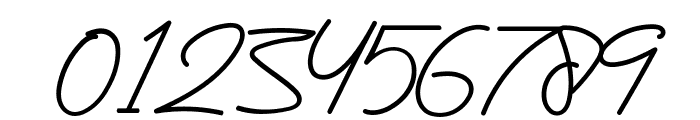 Housttely Signature Font OTHER CHARS