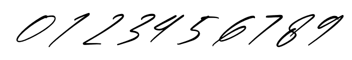 Hunterland Rebalion Italic Font OTHER CHARS