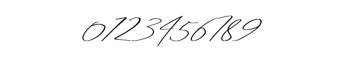 HuntingtonSignature Font OTHER CHARS