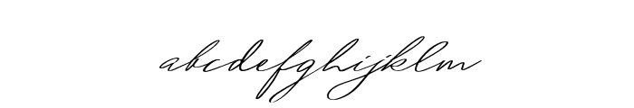 HuntingtonSignature Font LOWERCASE