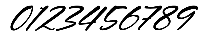 Hustfelds Rashgella Italic Font OTHER CHARS