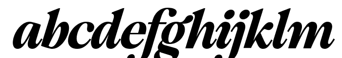 Jim Wollins Display Italic Font LOWERCASE