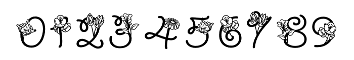 Joyful Monogram Font OTHER CHARS