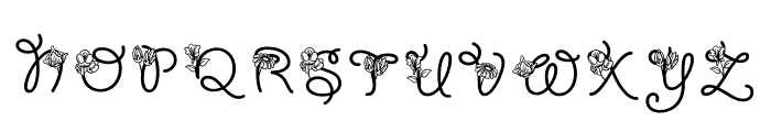 Joyful Monogram Font LOWERCASE