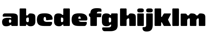 JoyfulChase-Regular Font LOWERCASE