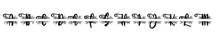 Julia Monogram Font Font LOWERCASE