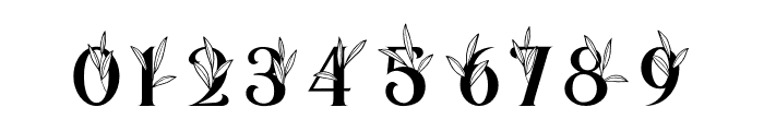 Kafina Monogram Font OTHER CHARS