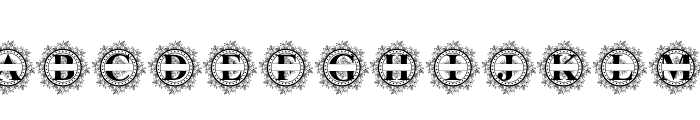 Kamille Monogram Font LOWERCASE