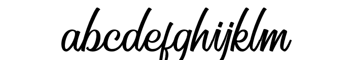 KarlbergScript-Regular Font LOWERCASE