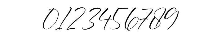 Karlynasha Italic Font OTHER CHARS