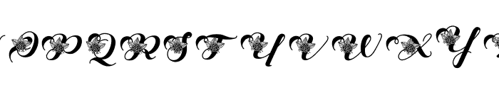 Keshia Flower Font UPPERCASE