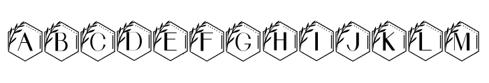 Kharisma Monogram Font LOWERCASE