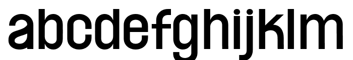 Kinesurf FONT
