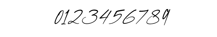 Krittany Signature Italic Font OTHER CHARS