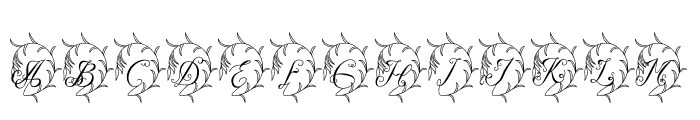 Kushina-Regular Font UPPERCASE