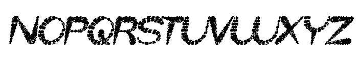 LITTLE ANT Bold Italic Font UPPERCASE