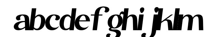 Lafier Italic Font LOWERCASE