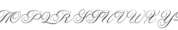 Lamborghini Script Font UPPERCASE