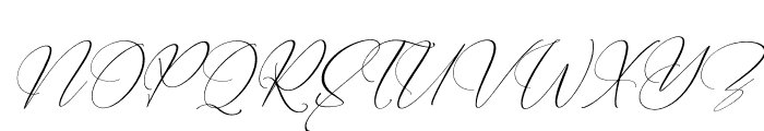 Landerful Signature Italic Font UPPERCASE
