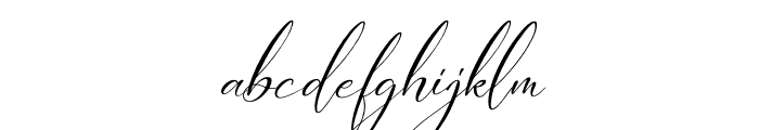 Landerful Signature Italic Font LOWERCASE