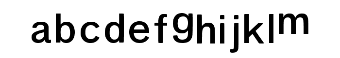 Largest Regular Font LOWERCASE