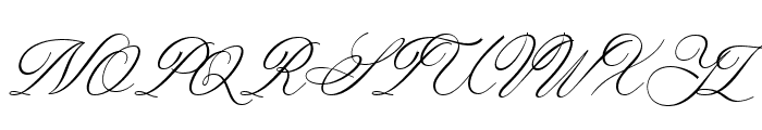 Laurente Script Family ExtLt Font UPPERCASE