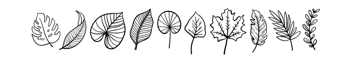 Leaf Doodle Font OTHER CHARS