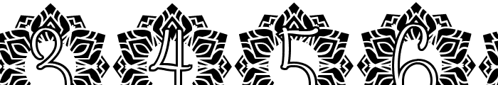 Leaf Mandala Monogram Font OTHER CHARS