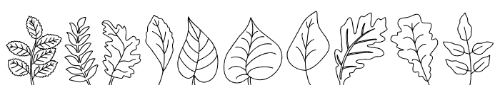 Leaf Thanksgiving Font OTHER CHARS