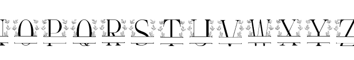 fontPreview