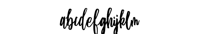 LeightonRegular Font LOWERCASE